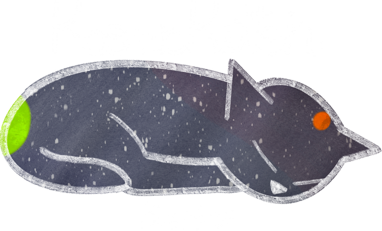Kosmic Kitten Series